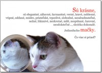 /album/fotogaleria1/obalka-zadna-strana-kazda-zena-jpg1/